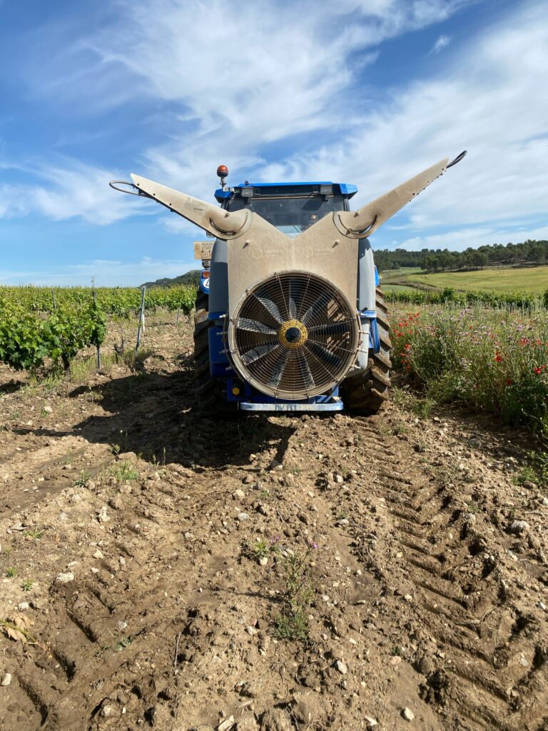 WhatsApp Image 2025-06-30 at 09.16.00 (1)