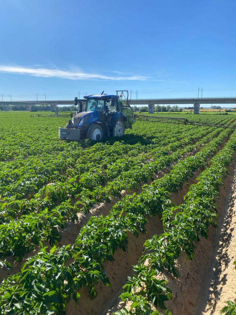 WhatsApp Image 2025-06-30 at 09.16.00